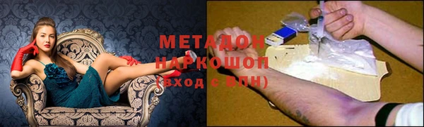 шишки Осинники
