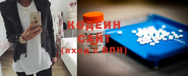 шишки Осинники