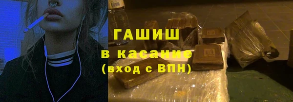 шишки Осинники