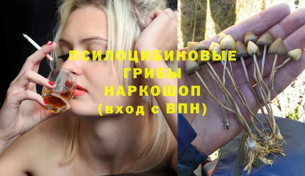 амф Верхний Тагил