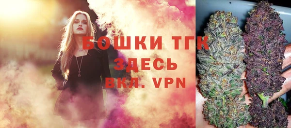 шишки Осинники