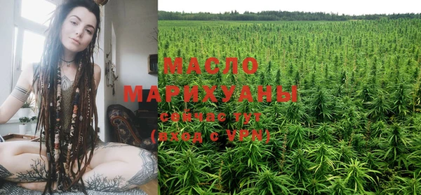 шишки Осинники