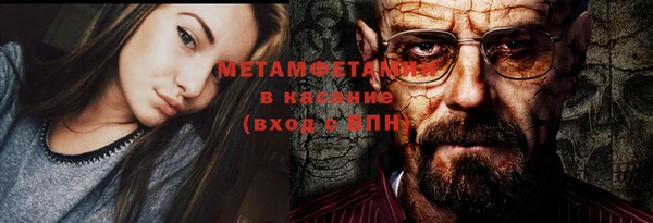 шишки Осинники