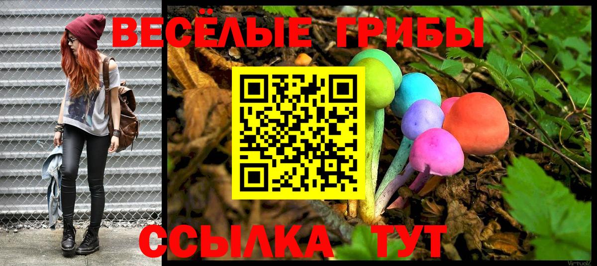 Псилоцибиновые грибы ЛСД Тобольск