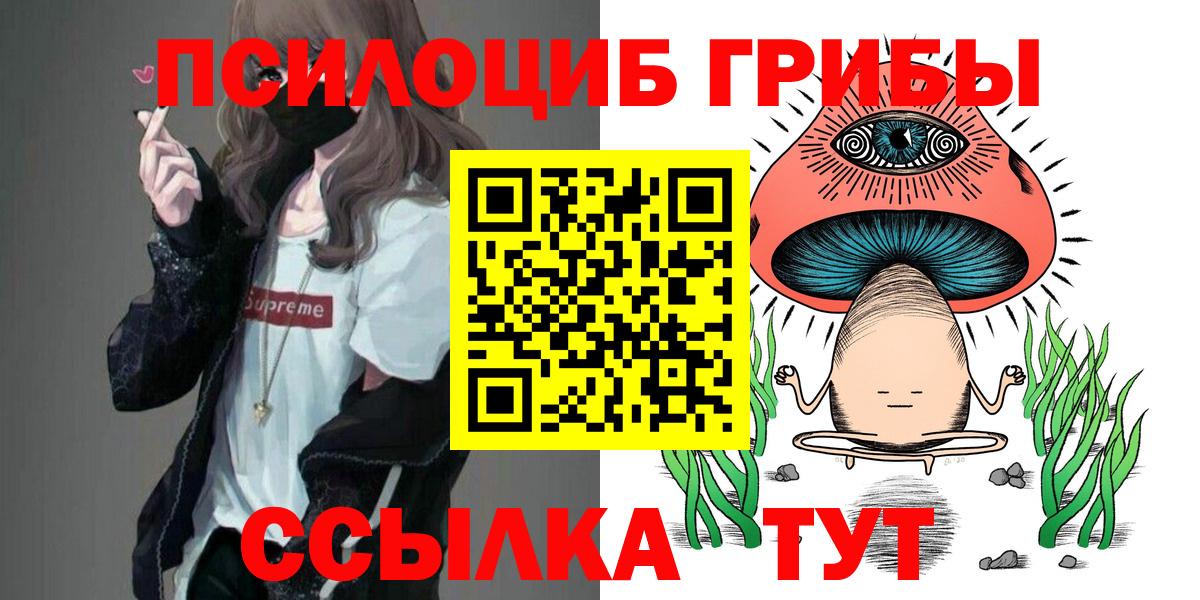Псилоцибиновые грибы прущие грибы Тобольск
