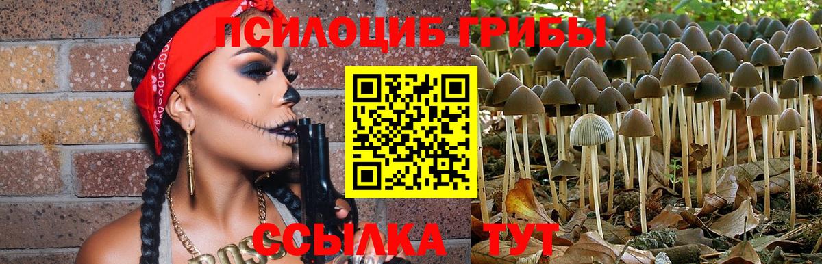 Псилоцибиновые грибы мухоморы  Галлюциногенные грибы Magic Shrooms  Вход с VPN  Тобольск 